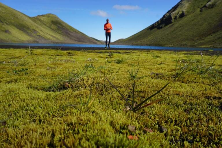 Ninja Ýr Gísladóttir