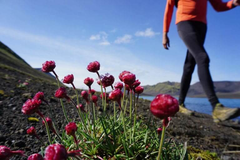 Karen Ósk Björnsdóttir